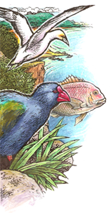 marlborough sounds tours